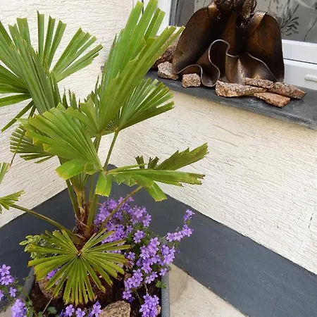 Altstadt Charme Semesterbostad *